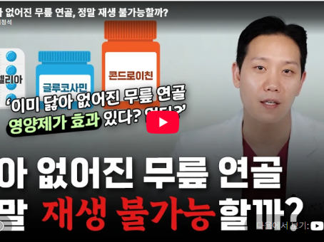 [Youtube] 닳아 없어진 무릎 연골, 정말 재생 불가능할까? - '…
